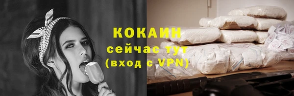 ешки Гусь-Хрустальный