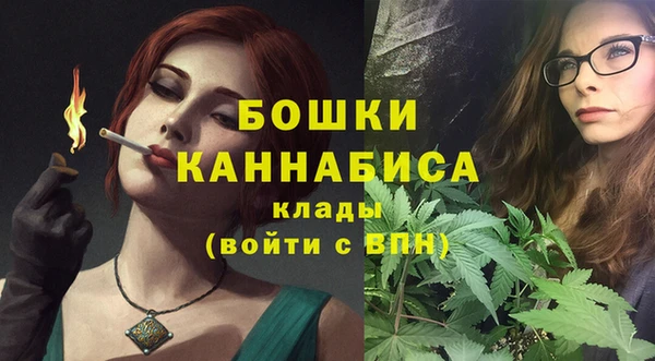 ешки Гусь-Хрустальный