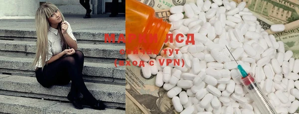 ешки Гусь-Хрустальный