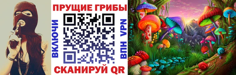 Псилоцибиновые грибы прущие грибы  наркотики  Оха 
